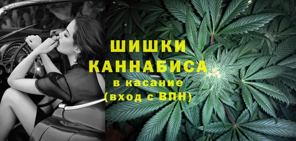 дживик Струнино