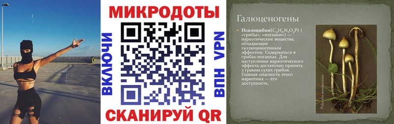 Галлюциногенные грибы прущие грибы  Купить где  Сретенск 